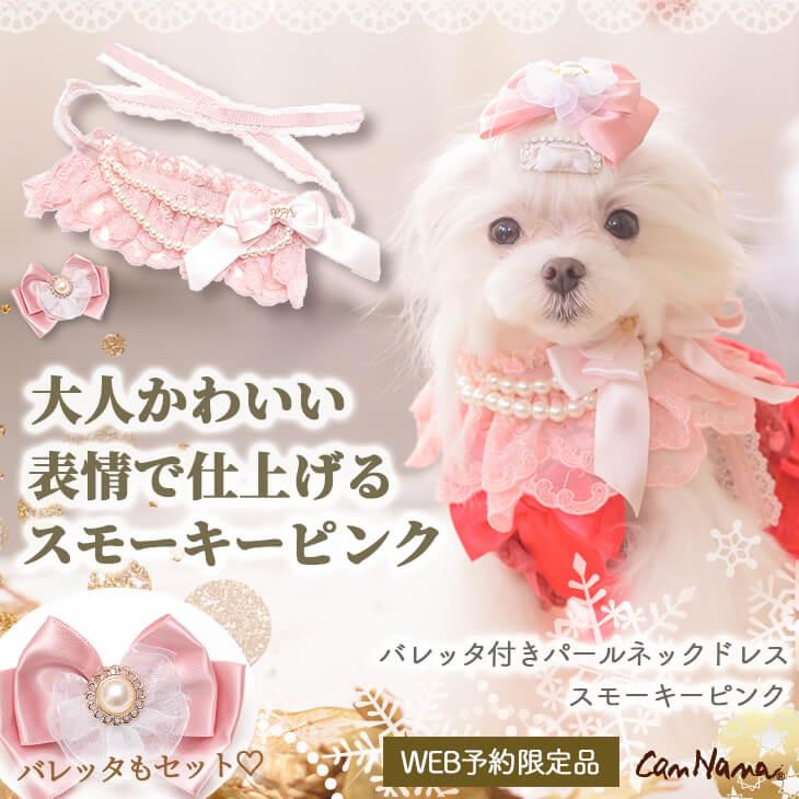CanNana 犬 ネックドレス アクセサリー リボン バレッタ付 ギフト