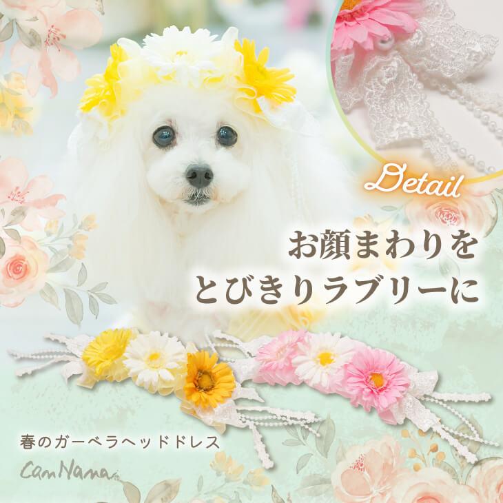 CanNana 犬 ヘッドドレス アクセサリー 春 春のガーベラヘッド CanNana 犬 ヘッドドレス アクセサリー 春 春のガーベラヘッド
