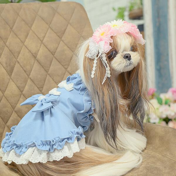 CanNana 犬 ヘッドドレス アクセサリー 春 春のガーベラヘッドドレス