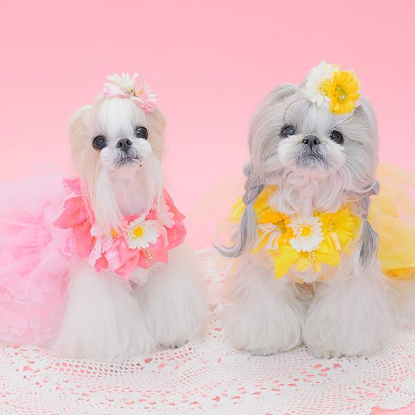 CanNana 犬 ヘッドドレス アクセサリー リボン アクセ 春 イースター