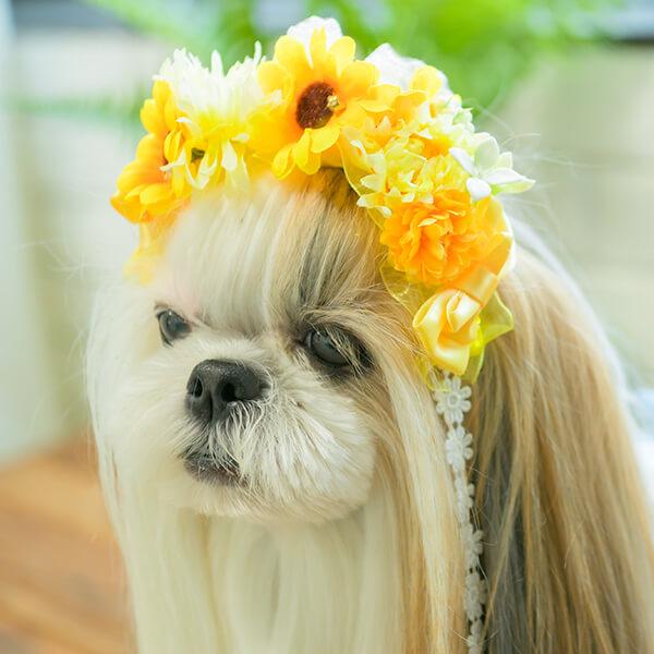 CanNana ヘッドドレス アクセサリー ひまわり 夏 ブランド セレブ 小型