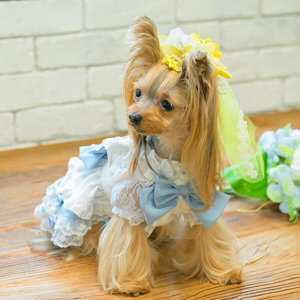 CanNana ベール リボン バレッタ アクセサリー ひまわり 夏 ブランド