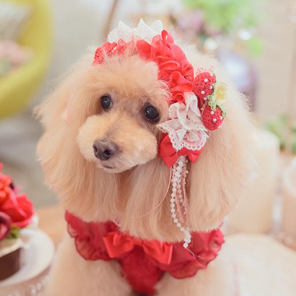 犬服・アクセサリー shikina CanNana 犬 ヘッドドレス アクセサリー リボン アクセ 秋冬 ギフト