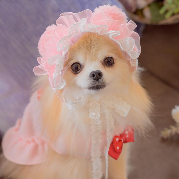 CanNana 犬 ヘッドドレス アクセサリー リボン アクセ 秋冬 ギフト