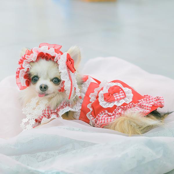 CanNana 犬 アクセサリー ヘッドドレス ハート ギンガム プリンセス