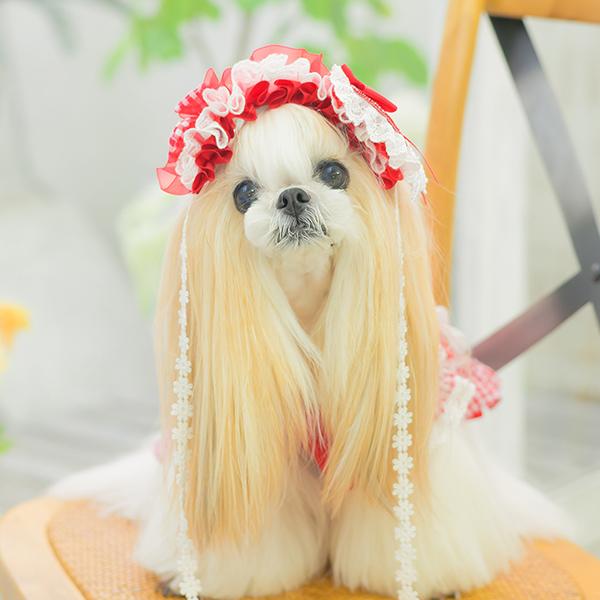 CanNana 犬 アクセサリー ヘッドドレス ハート ギンガム プリンセス
