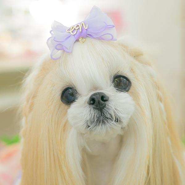 角度一定スタンド式】犬 アクセサリー リボン バレッタ プレゼント