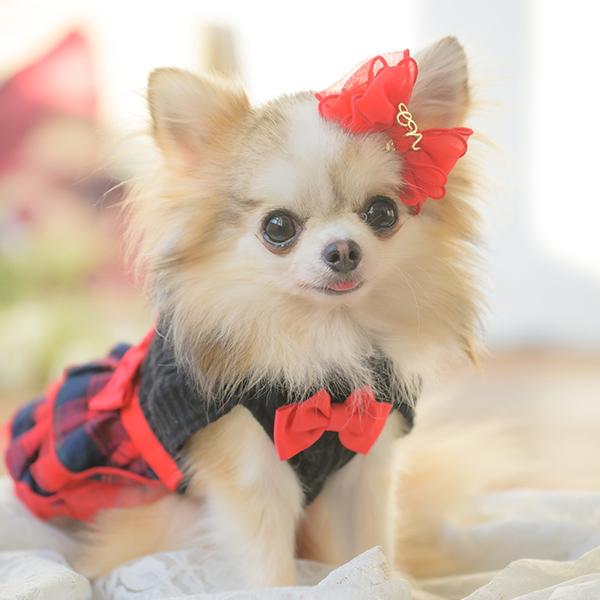 角度一定スタンド式】犬 アクセサリー リボン バレッタ プレゼント