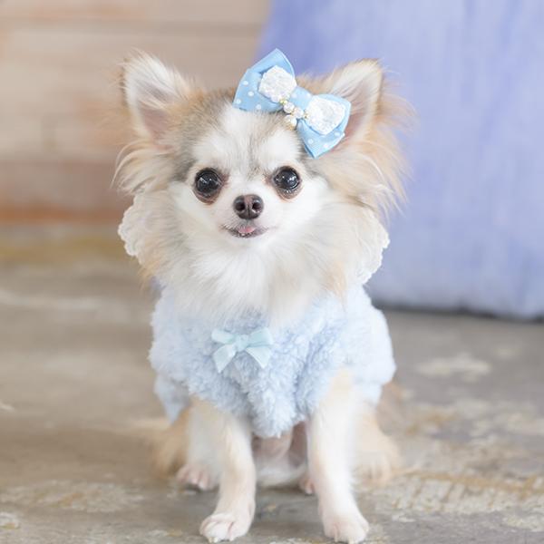 CanNana きゃんナナ 犬 服 犬服 犬の服 おしゃれ ブランド シーズー