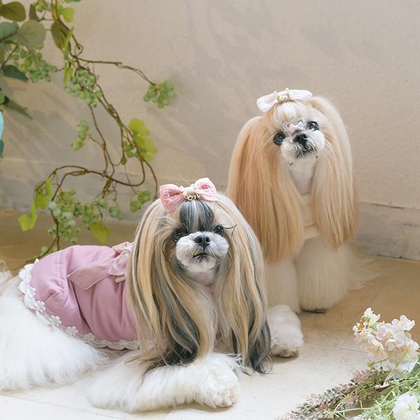 犬服　きゃんナナ　1144 SMサイズ　新品 楽天市場】きゃんナナ 犬服 ワンピース 春夏 花柄フリルキャミ