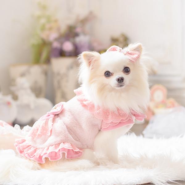 CanNana きゃんナナ 犬 服 犬服 犬の服 おしゃれ ブランド シーズー