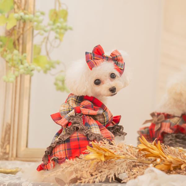 CanNana きゃんナナ 犬 服 犬服 犬の服 おしゃれ ブランド シーズー