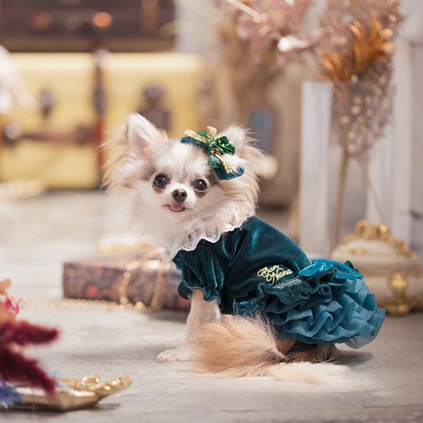 CanNana きゃんナナ 犬 服 犬服 犬の服 おしゃれ ブランド シーズー