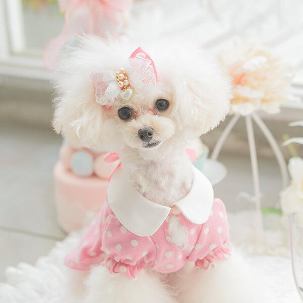 CanNana 犬 アクセサリー リボン バレッタ プレゼント ギフト きゃん