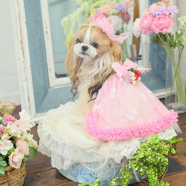 犬のリボンアレンジメント CanNana 犬 アクセサリー バレッタ リボン オーガンジー アレンジ 上品