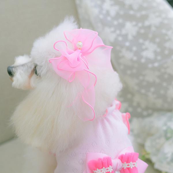 CanNana 犬 アクセサリー リボン バレッタ プレゼント ギフト きゃん