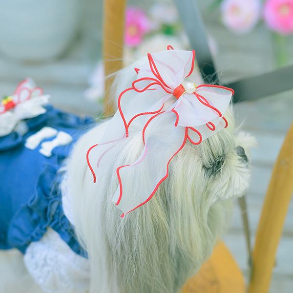 CanNana 犬 アクセサリー リボン バレッタ プレゼント ギフト きゃん