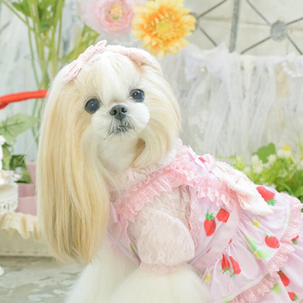 CanNana 犬 アクセサリー リボン バレッタ プレゼント ギフト きゃん