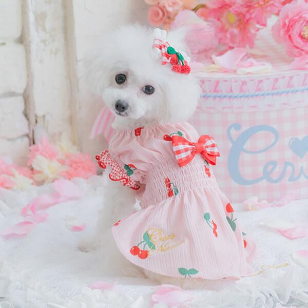 CanNana 犬 アクセサリー リボン バレッタ プレゼント ギフト きゃん