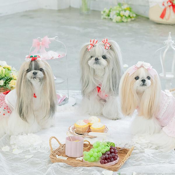 CanNana 犬 アクセサリー リボン バレッタ プレゼント ギフト CanNana 犬 アクセサリー リボン バレッタ プレゼント ギフト
