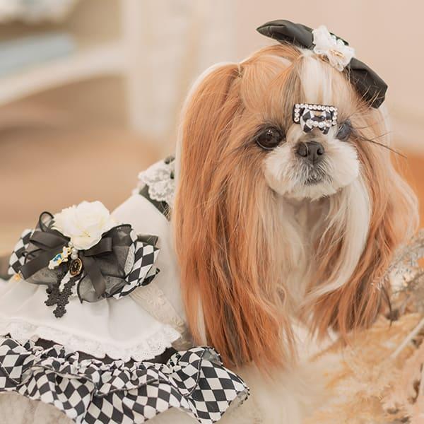 CanNana リボン バレッタ アクセサリー 不思議の国のアリス 犬服