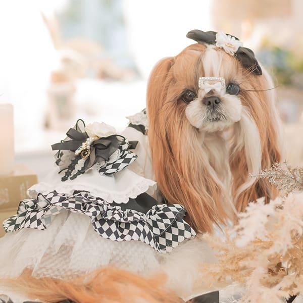 CanNana リボン バレッタ アクセサリー 不思議の国のアリス 犬服