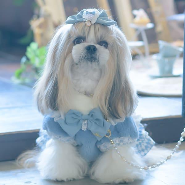 CanNana リボン バレッタ アクセサリー 不思議の国のアリス 犬服
