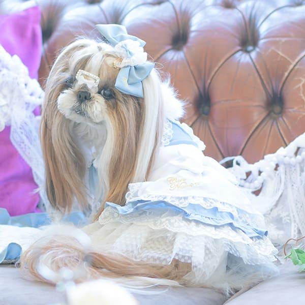 CanNana リボン バレッタ アクセサリー 不思議の国のアリス 犬服
