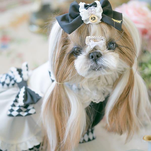CanNana リボン バレッタ アクセサリー 不思議の国のアリス 犬服