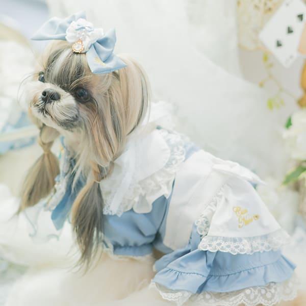 CanNana リボン バレッタ アクセサリー 不思議の国のアリス 犬服