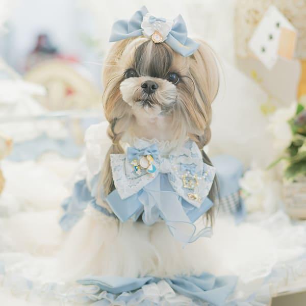 CanNana リボン バレッタ アクセサリー 不思議の国のアリス 犬服