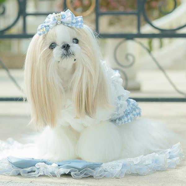 CanNana 犬 アクセサリー ダイヤ柄チェックアリスバレッタ リボン