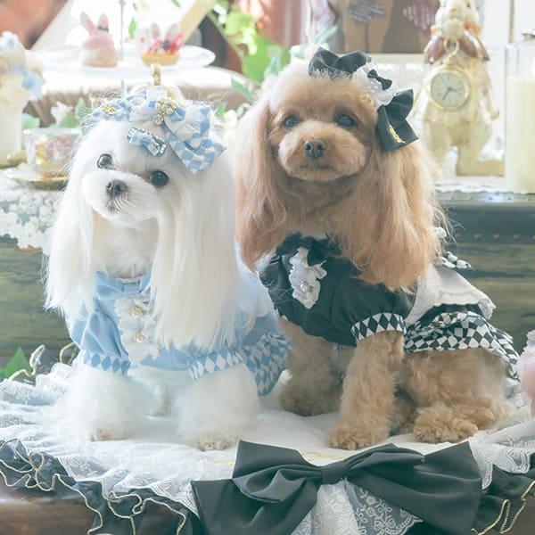CanNana 犬 アクセサリー ダイヤ柄チェックアリスバレッタ リボン
