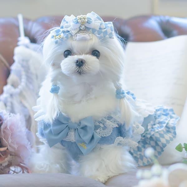 CanNana 犬 アクセサリー ダイヤ柄チェックアリスバレッタ リボン