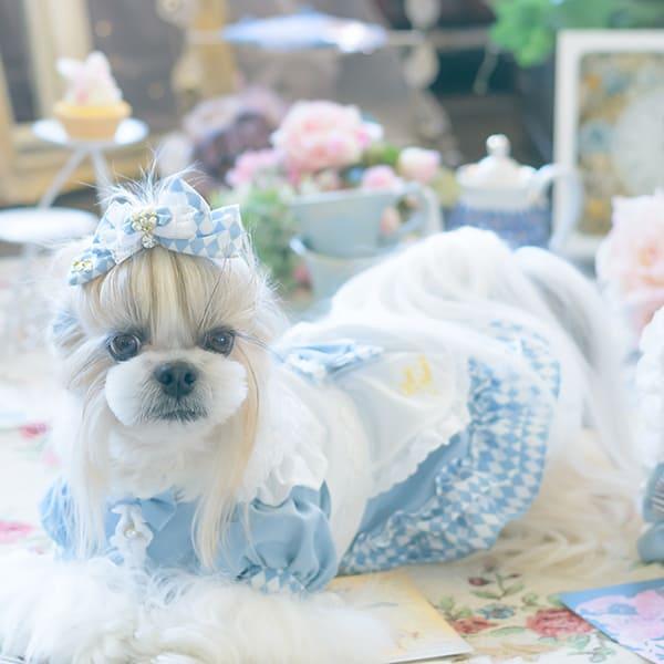CanNana 犬 アクセサリー ダイヤ柄チェックアリスバレッタ リボン