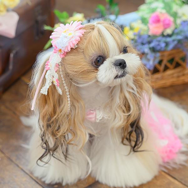 CanNana 犬 アクセサリー 春 ガーベラロングバレッタリボン ロング