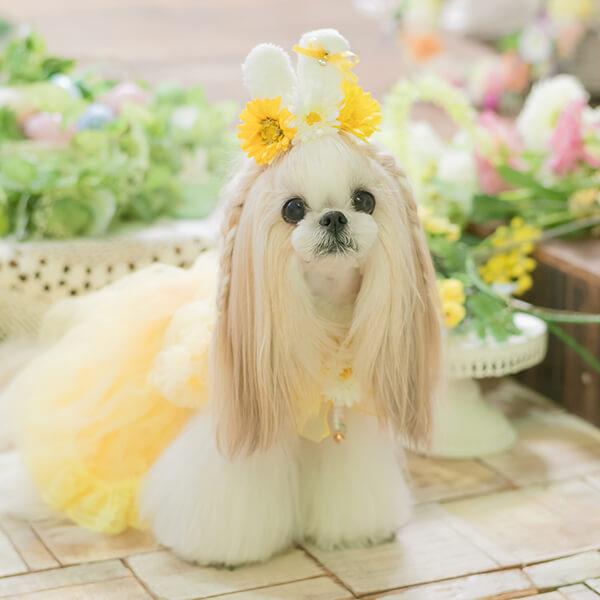CanNana 犬 アクセサリー 春 うさ耳バレッタリボン ヘアアクセ うさぎ