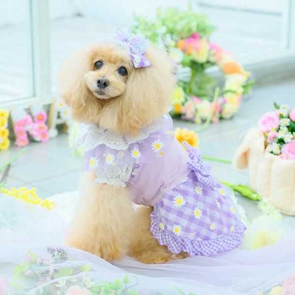 CanNana 犬 アクセサリー 春 角度一定スタンド式 レース＆チェック