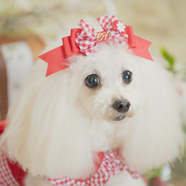 CanNana 犬 アクセサリー 春 角度一定スタンド式 ギンガムフリル姫