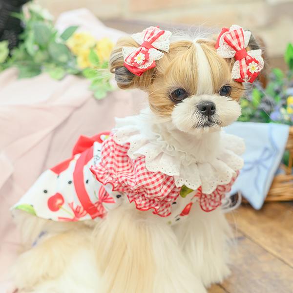 CanNana 犬 アクセサリー 春 角度一定スタンド式 ギンガムチェック