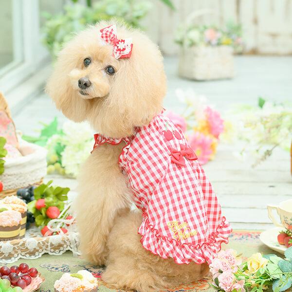 CanNana 犬 アクセサリー 春 角度一定スタンド式 ギンガムチェック