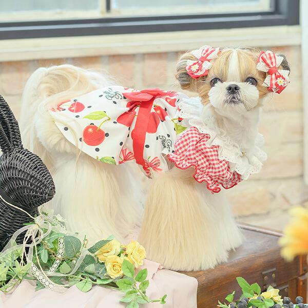 CanNana 犬 アクセサリー 春 角度一定スタンド式 ギンガムチェック