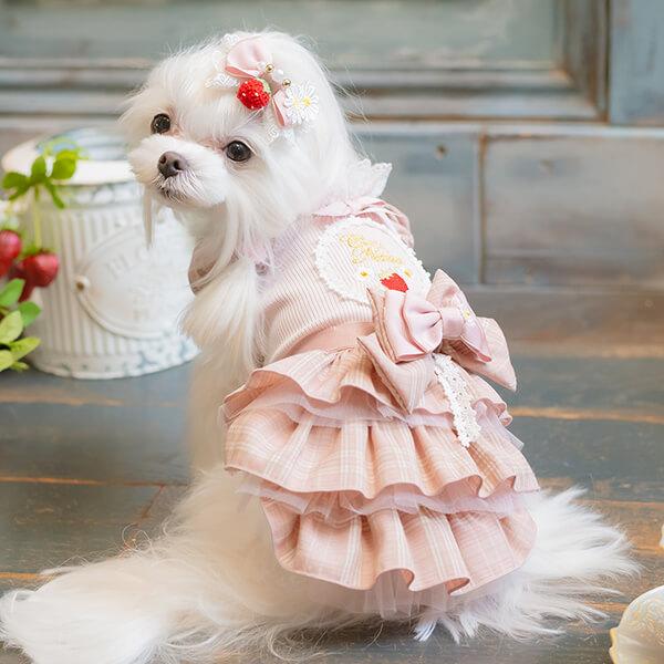 CanNana 犬 アクセサリー 春 角度一定スタンド式 お花といちごの