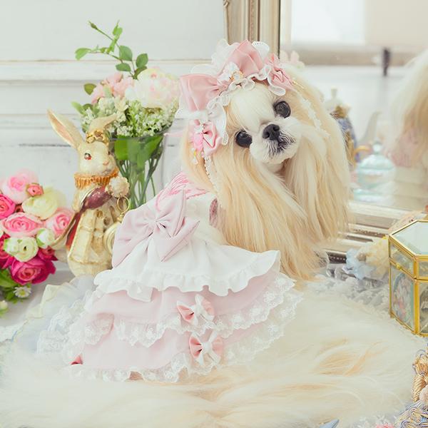 ペットボトルカバー　ピンクのドレスのパピヨンちゃん ペットボトルカバー ピンクのドレスのパピヨンちゃん ペットボトル