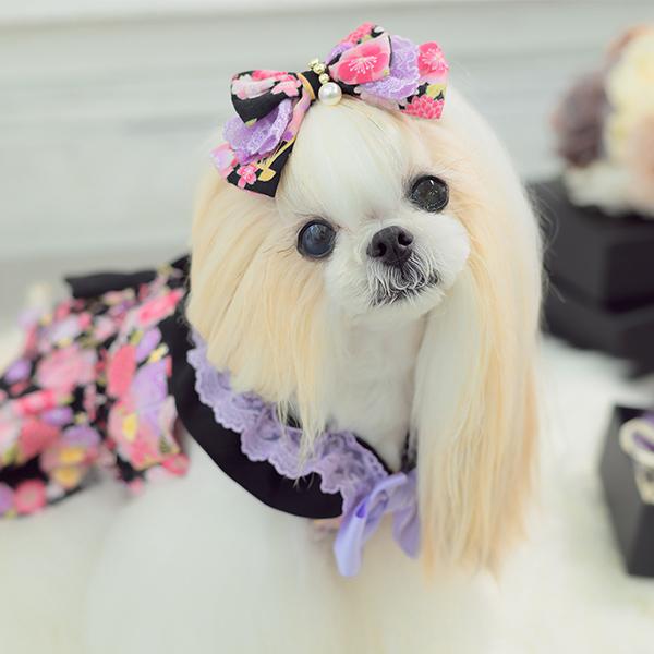 きゃんナナ　和ロリ　レッドS+Mサイズとバレッタセット CanNana 犬 バレッタ アクセサリー リボン アクセ 秋冬 正月 和柄 和風