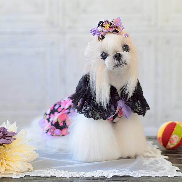 CanNana 犬 バレッタ アクセサリー リボン アクセ 秋冬 正月 つまみ