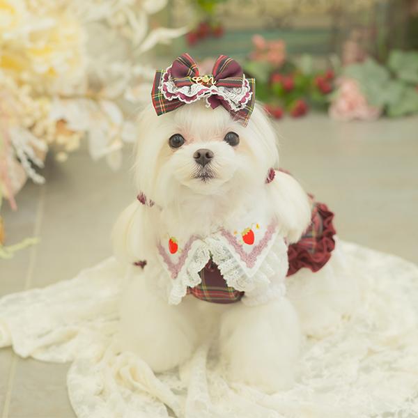 犬服・アクセサリー Little Rhythnnne CanNana 犬 バレッタ アクセサリー リボン アクセ 秋冬 タータン