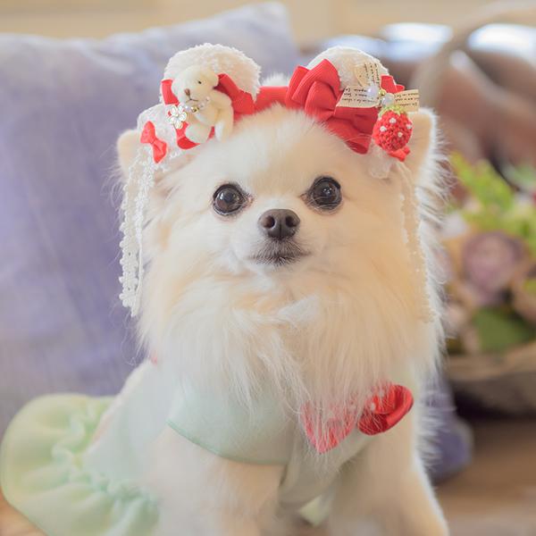 CanNana 犬 バレッタ アクセサリー リボン アクセ 秋冬 ギフト