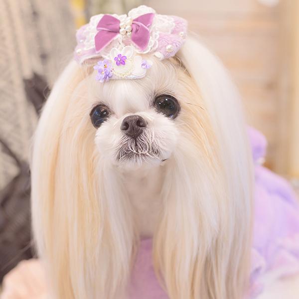 CanNana 犬 バレッタ アクセサリー リボン アクセ 秋冬 ギフト