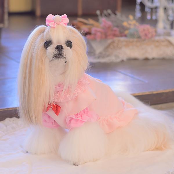 CanNana 犬 バレッタ アクセサリー リボン アクセ 秋冬 ギフト